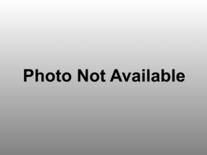 Acura Cincinnati on Carmax Auctions   Features